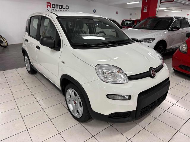 FIAT Panda 1.0  Hybrid SENZA FINANZIAMENTO Immagine 3