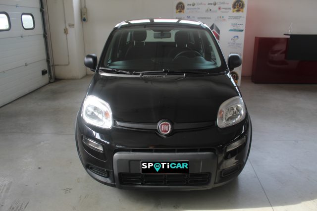 FIAT Panda 1.0 FireFly S&S Hybrid Immagine 1