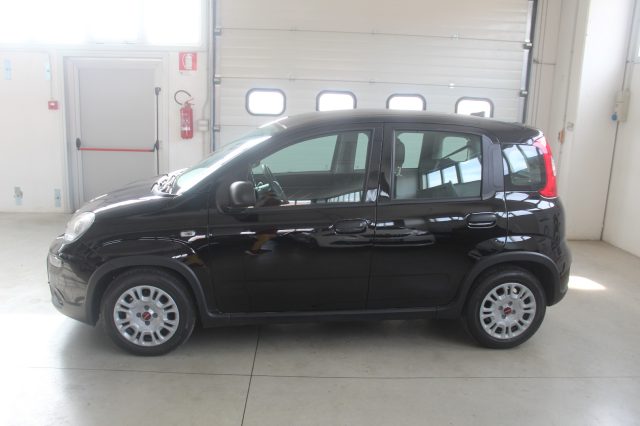 FIAT Panda 1.0 FireFly S&S Hybrid Immagine 2