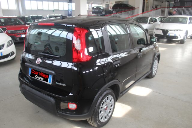 FIAT Panda 1.0 FireFly S&S Hybrid Immagine 3