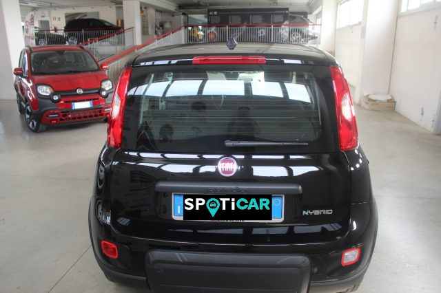 FIAT Panda 1.0 FireFly S&S Hybrid Immagine 4