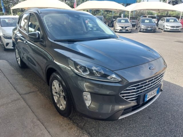 FORD Kuga 1.5 EcoBlue 120 CV 2WD Titanium Business Immagine 0