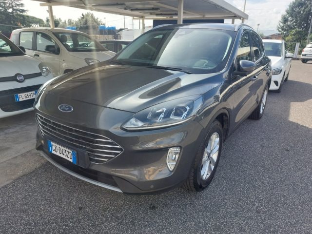 FORD Kuga 1.5 EcoBlue 120 CV 2WD Titanium Business Immagine 2