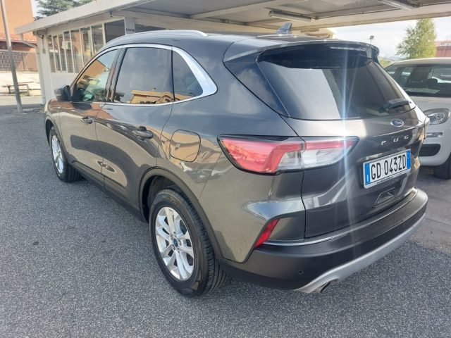 FORD Kuga 1.5 EcoBlue 120 CV 2WD Titanium Business Immagine 3