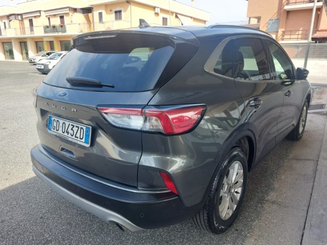 FORD Kuga 1.5 EcoBlue 120 CV 2WD Titanium Business Immagine 4