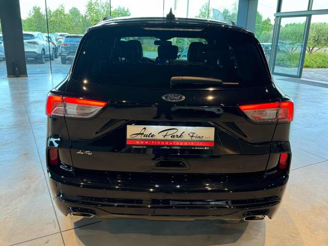 FORD Kuga 2.0 EcoBlue 190 CV aut. AWD ST-Line Immagine 4