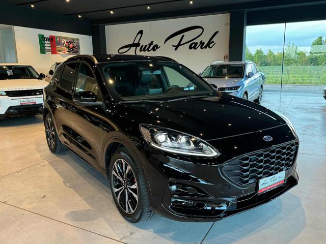 FORD Kuga 2.0 EcoBlue 190 CV aut. AWD ST-Line Immagine 0