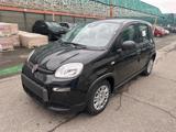 FIAT Panda Hybrid My25 PROMO CAR SERENITY