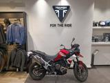 TRIUMPH Tiger 900 GT ARAGON