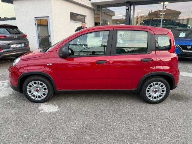 FIAT Panda 1.0 FireFly S&S Hybrid con Pack Comfort Immagine 1