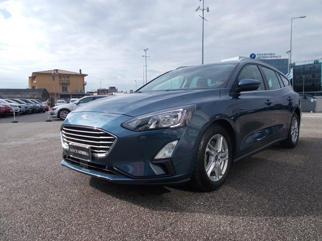 FORD Focus 1.5 EcoBlue 120 CV SW Business Immagine 1