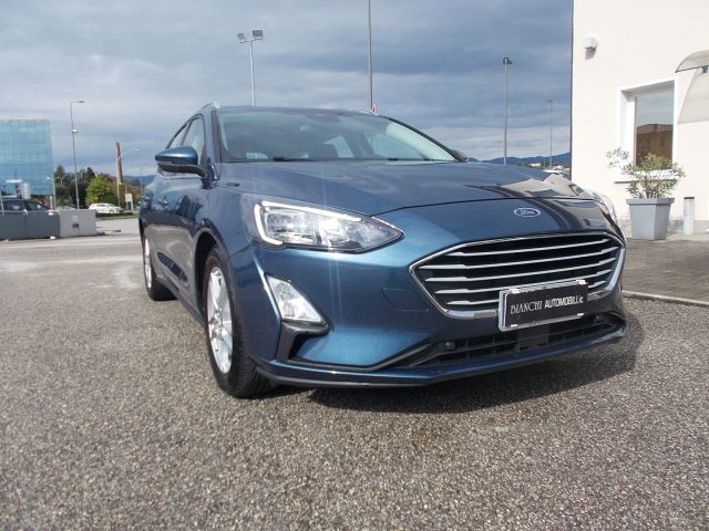 FORD Focus 1.5 EcoBlue 120 CV SW Business Immagine 2