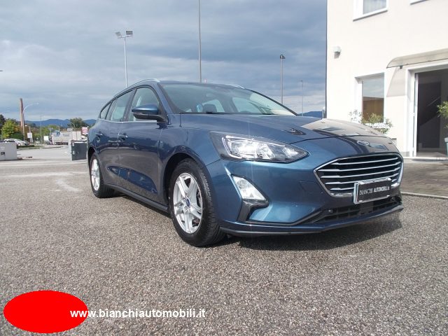 FORD Focus 1.5 EcoBlue 120 CV SW Business Immagine 0