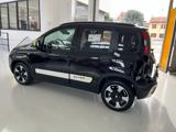 FIAT Panda 1.0 FireFly Hybrid Pandina CROSS con "PANERO PLUS"