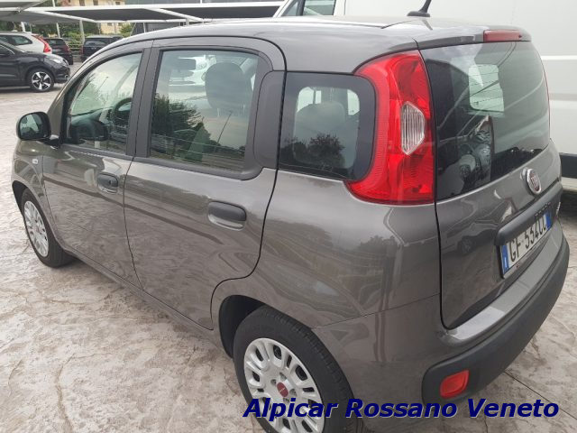 FIAT Panda 1.0 FireFly S&S Hybrid City Life NEOPAT Immagine 2