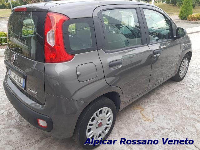 FIAT Panda 1.0 FireFly S&S Hybrid City Life NEOPAT Immagine 3