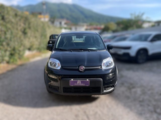 FIAT Panda 1.0  S&S Hybrid Immagine 2