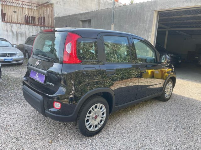 FIAT Panda 1.0  S&S Hybrid Immagine 3