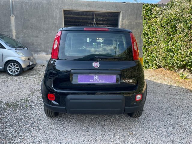 FIAT Panda 1.0  S&S Hybrid Immagine 4