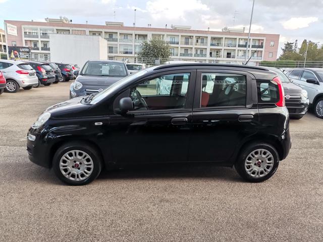 FIAT Panda 1.2 Easy Immagine 1