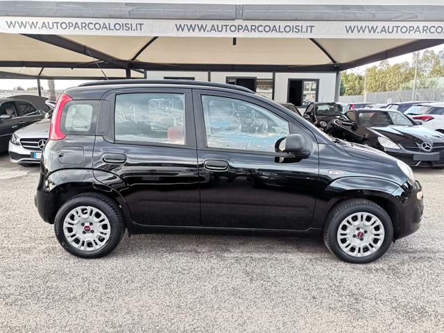 FIAT Panda 1.2 Easy Immagine 4