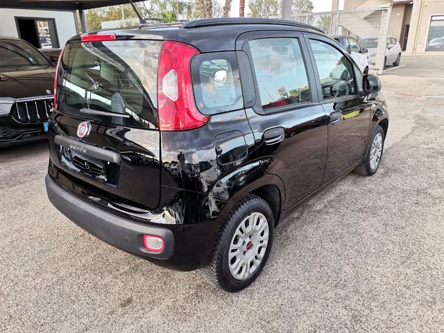 FIAT Panda 1.2 Easy Immagine 3