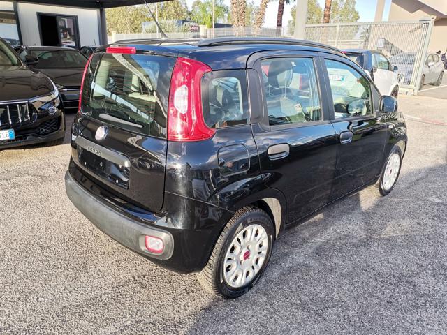 FIAT Panda 1.2 Easy Immagine 3