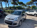 FIAT Panda 1.0cc HYBRID 70cv BLUETOOTH CLIMA STEREO