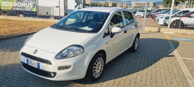 FIAT Punto 1.2 8V 5 porte Street Immagine 3