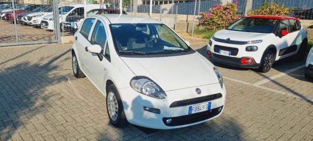 FIAT Punto 1.2 8V 5 porte Street Immagine 2