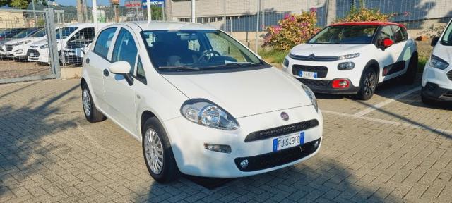 FIAT Punto 1.2 8V 5 porte Street Immagine 1