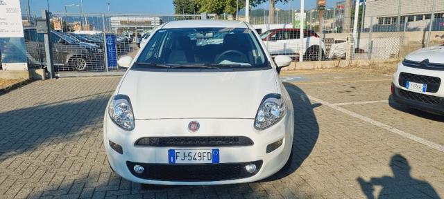 FIAT Punto 1.2 8V 5 porte Street Immagine 0