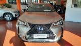 LEXUS UX 250h UX Hybrid Business