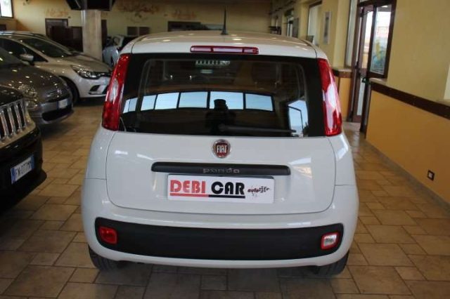 FIAT Panda 1.2 Poss. GPL Immagine 4