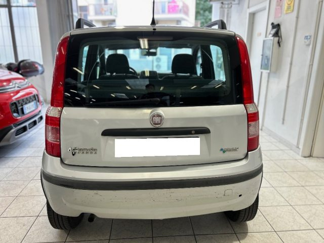 FIAT Panda 1.2 Dynamic Natural Power - Operatori del Settore Immagine 4