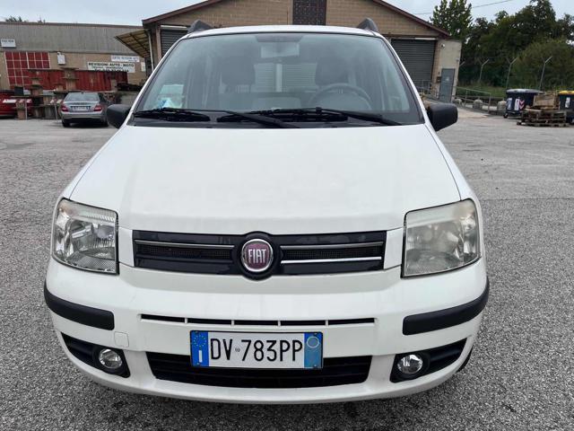 FIAT Panda 1.2 Dynamic Natural Power Mamy Immagine 2