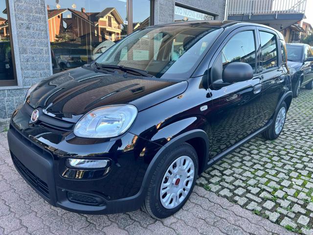 FIAT Panda 1.0 FireFly S&S Hybrid +pack Immagine 0