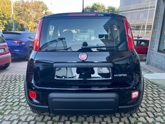 FIAT Panda 1.0 FireFly S&S Hybrid +pack Immagine 3