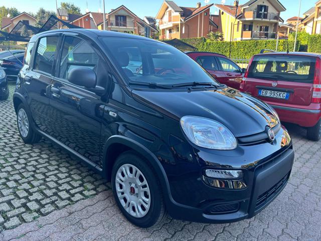 FIAT Panda 1.0 FireFly S&S Hybrid +pack Immagine 2