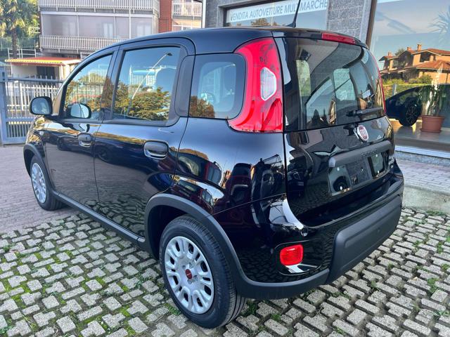 FIAT Panda 1.0 FireFly S&S Hybrid +pack Immagine 4