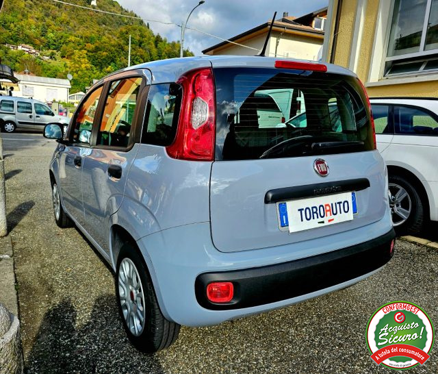 FIAT Panda 1.2 Easy NEOPATENTATI Immagine 2