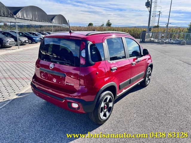 FIAT Panda Cross 1.0 FireFly S&S Hybrid Immagine 2