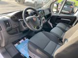 FIAT Ducato 30 2.3 MJT 9 POSTI  PC-TN +IVA