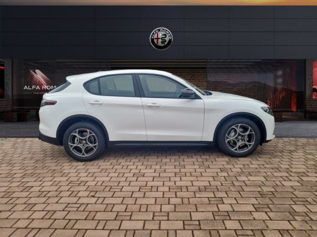 ALFA ROMEO Stelvio MY24 2200 MJT 160CV SPRINTt Immagine 3