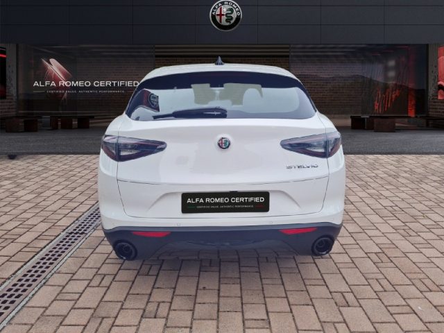 ALFA ROMEO Stelvio MY24 2200 MJT 160CV SPRINTt Immagine 4