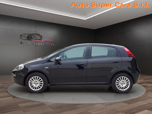 FIAT Punto 1.2 8V 5 porte Street Immagine 1