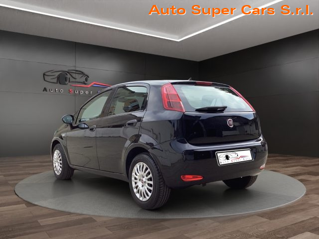 FIAT Punto 1.2 8V 5 porte Street Immagine 2