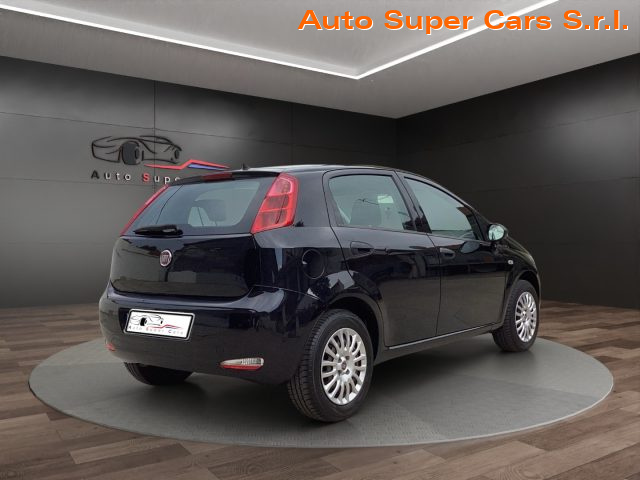 FIAT Punto 1.2 8V 5 porte Street Immagine 4