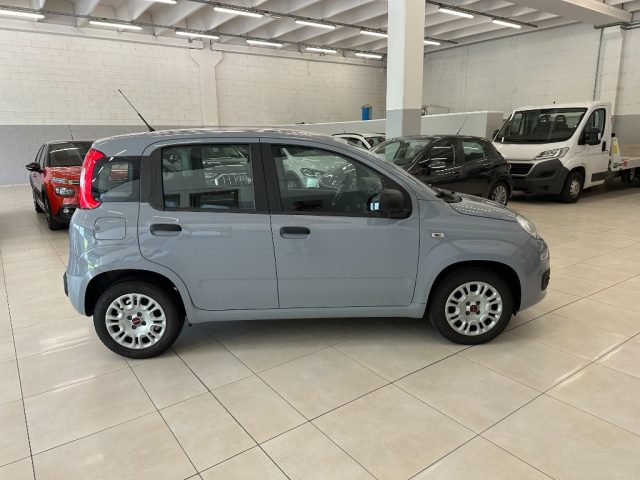 FIAT Panda 1.2 Easy ADATTA NEOPATENTATI Immagine 3