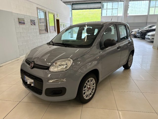 FIAT Panda 1.2 Easy ADATTA NEOPATENTATI Immagine 0